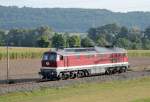 Ludmilla BR 232 fhrt im Morgenlicht alleine vom Bahnhof Neustadt Aisch nach Dietersheim.