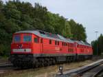 232 527-2 und 232 589-2 standen am 25.09.12 in Marktredwitz.