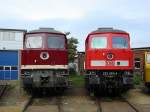 232 158-6 & 233 451-4 beim Tag der Fahrgste im Aw Cottbus.