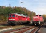 232 534-8 und 294 760-4 zu sehen am 04.11.14 in Marktredwitz.