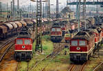 Mehr als zehn  Ludmillas/132er mit 132 625 am 19.09.1991 im Bw. Halle G. Und ganz im Hintergrund des Bildes sind noch Dampfloks zu erkennen.
