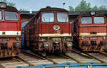 DR-Diesellok 132 652 mit4 zwei anderen Fahrzeugen der Baureihe 120 am 19.09.1991 im Bw. Leipzig-Wahren.