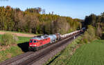 232 703 mit dem EZ 45360 (Most nov� n. odjezd - N�rnberg Rbf) bei Reutlas 30.4.26