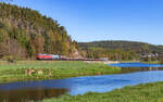 232 703 mit dem EZ 45360 (Most nov� n. odjezd - N�rnberg Rbf) bei Pfreimd 30.4.26