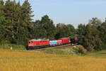 232 255 war am 18. Juni 2026 mit einem gemischten G�terzug bei Naabdemenreuth in Richtung Regensburg unterwegs.