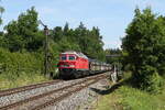 232 209 mit einem Autozug aus Hof kommend am 18. Juni 2026 bei Windischeschenbach.