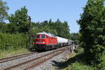 232 255 mit einem gemischten G�terzug aus Hof kommend am 19. Juni 2026 bei Windischeschenbach.