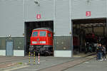 Im Kombiwerk des Rbf Halle(S) gab es am 19.09.26 mehrere DB-Dieselloks zu bestaunen. W�hrend im Hintergrund 218 438 aufgebockt steht schaut 232 703 aus der Halle. Die Ludmilla konnte an diesem Tag begangen werden.