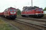 232 282 + 232 652  Satzkorn  03.07.97