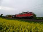 232 280 mit einer Straenbahn berfhrung am 16.05.13 nach Bautzen, hier in Syrau