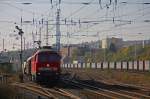 232 255 am 01.11.2014 in Sangerhausen