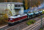 Die „Ludmilla“ in der ursprünglichen DR-Farbgebung „bordeauxrot“ 232 088-5 (92 80 1232 088-5 D-SLRS) der SRS - Salzland Rail Service GmbH (Bernburg/Saale) rangiert am 09 November 2025 im Rbf Betzdorf/Sieg einen Schotterzug. Im Hintergrund das Stellwerk Betzdorf Fahrdienstleiter Bf.

Die ex DR V 300 wurde 1974 von LTS (Luhanskyj Teplowosobudiwnyj Sawod auch bekannt als Lokomotivfabrik Lugansk (ehemals Woroschilowgrad)) unter der Fabriknummer 0304 gebaut und als 132 088-6 an die Deutsche Reichsbahn (DR) geliefert.  Zum 01.01.1992 erfolgte die Umzeichnung in DR 232 088-5 und zum 01.01.1994 dann in DB 232 088-5. Die Ausmusterung bei der DB erfolgte zum 30.08.1998. Im August 2002 ging sie an die WAB - Westfälische Almetalbahn GmbH in Altenbeken (als Nr. 30), bis sie im Januar 2004 an die EfW-Verkehrsgesellschaft mbH in Frechen ging. Im Februar 2018 wurde sie dann an die Salzland Rail Service GmbH in Bernburg (Saale) verkauft.