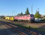 Triangula Ludmilla, 9280 1232 173-5 D-TRG mit einem Stopfexpress am Haken in Gera am 28.4.2026
