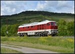 Spotlight an f�r die Ludmilla 132 426-8 der Nossen-Riesaer Eisenbahn-Compagnie - NRE. Am 18.05.2026 fuhr die bordeauxrote Maschine bei Th�ngersheim durch das Maintal gen S�den. 