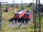 In der Abstellgruppe des Railion-Werkes Halle/Saale standen am 14.07.07 Loks der Baureihen 232, 233 und 155 sowie eine 140.