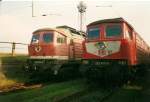 232 203 in der DR-Farbgebung und 232 477 in DB-Verkehrsrot im September 1998 im Bh Rostock Seehafen.