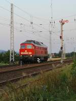 232 259-2 kommt am 4.8.2009 in der Morgendmmerung am Ausfahrsignal von Wallhausen vorbei.