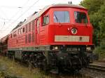 232 280-8, aufgenommen am 9.9.09 in Ratingen