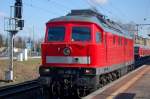 232 498-6 auf dem Weg nach Brandenburg Altstadt, um einen mit Drahtrollen beladenden Gterzug zu holen. 22.03.2010