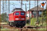 232 330-1 Tfz aus Grimmen.  Stralsund Abzweig Srg am 24.08.09 