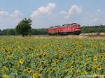 232 461-4 und 232 693-4 am 14.07.2010 in Horka