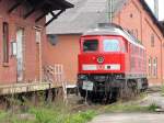 232 665-0 im Bahnhof Bebra mitten im Grnen, Aufnahme vom 01.05.2010