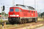 232 358 in Waren/Mritz - 12/07/2012