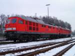 232 571 (alt belftet) und 233 217 standen am 11.02.13 in Marktredwitz.