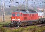 Grossaufnahme der 232 568-6 im Hbf Stralsund.