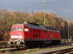 232 589-2 sonnt sich am 13.11.13 in Marktredwitz.