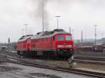 232 384 und 232 571 sind am 11.02.14 in Marktredwitz zusehen.