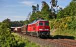 Die 232 262-6 dieselt am Morgen des 1.6.2017 in Wernberg-Köblitz mit einem gemischten Güterzug vorbei.