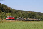 232 262-6 mit dem M62575 (Kornwestheim Rbf-Immendingen) bei Möhringen 9.8.18