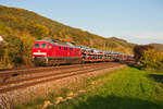 232 259 mit einem Autotransportzug bei Hersbruck r. Pegnitz Richtung Nürnberg, 13.10.2019