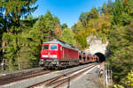 232 472 mit einem gemischten Güterzug aus Cheb nach Nürnberg Rbf bei Velden, 14.10.2019