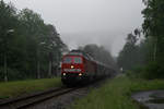 Frühnebel im Bahnhof Pirk mit 232 255-0.