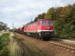 Zu meiner berraschung rollte am 23.10.07 232 690 mit einer Sonderleistung am Haken in den Bahnhof Martensdorf ein.