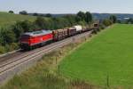 232 093 mit dem Umleiter FIR 51703 bei Herlasgrn (19.08.2009)