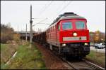 232 568-6 mit einem Holzzug nach Wismar am 18.11.2009 kurz vorm Hp Grnhufe.