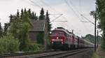 232 259-2 + 232 569-4 am 17. August 2010 bei Hude.