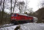 Kraftvoll wummernd rauscht diese  Ludmilla  am 13.12.2010 durchs Angertal.