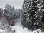 Der Winter ist zurck am 27.01.2011 als die 232 254 mit einem Gterzug gen Norden aus dem Wald auftaucht und auf Martinlamitz zu rauscht...