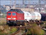 232 668-4 verlsst Stralsund in Richtung Greifswald.   (am  24.09.05) 