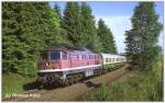 Die 132 285-8 legt sich am 22.06.1991 mit ihrem D 2066 bei Martinlamitz in die Kurve.