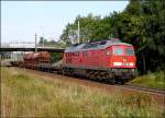 232 223-8 hat mit seinem Gterzug den Hbf Stralsund bald erreicht.--- noch ein Stck weiter ;-) (am 09.08.06)