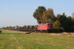 232 438-2 bei Lindwedel 22.10.2007