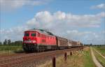 232 117 mit Güterzug in Richtung Süden am 26.07.2015 in Epenwörden. Grüße an die Mitstreiter ;)