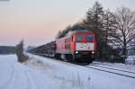 Wohl mein letztes Foto von 232 906-8. Wenige Tage später wurde sie nach Cottbus überführt und wartet seitdem auf eine weitere HU. Leider kam 232 906 mit ihrem Autozug nach Nürnberg Rbf kurz nach Sonnenuntergang. Dennoch wurde bei Waldershof auf den Auslöser gedrückt, 07.02.2015