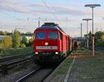 Je später der Abend, desto schöner die Lokomotiven. So konnte am Abend des 06.05.2015 die 232 259-2 mit einem gemischtem Güterzug in München-Moosach aufgenommen werden.