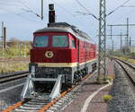 Salzland Rail Service 132 068-8 (92 80 1232 068-7 D-SLRS) am 24.10.2022 beim pausieren in Halle (S) Hbf.